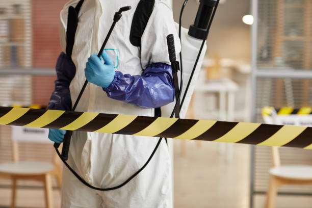 Professional Odor Removal technician working in Hubbard, OH